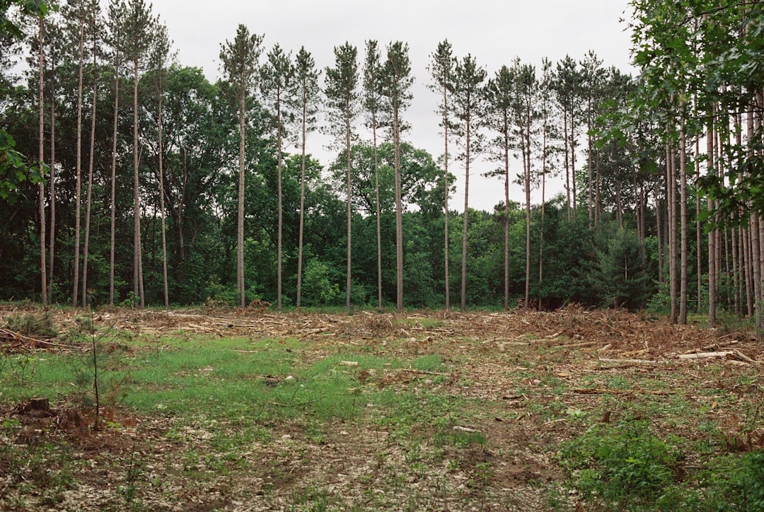 Kentucky land buyers