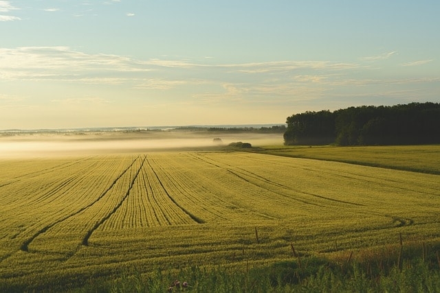 Land selling companies Tennessee